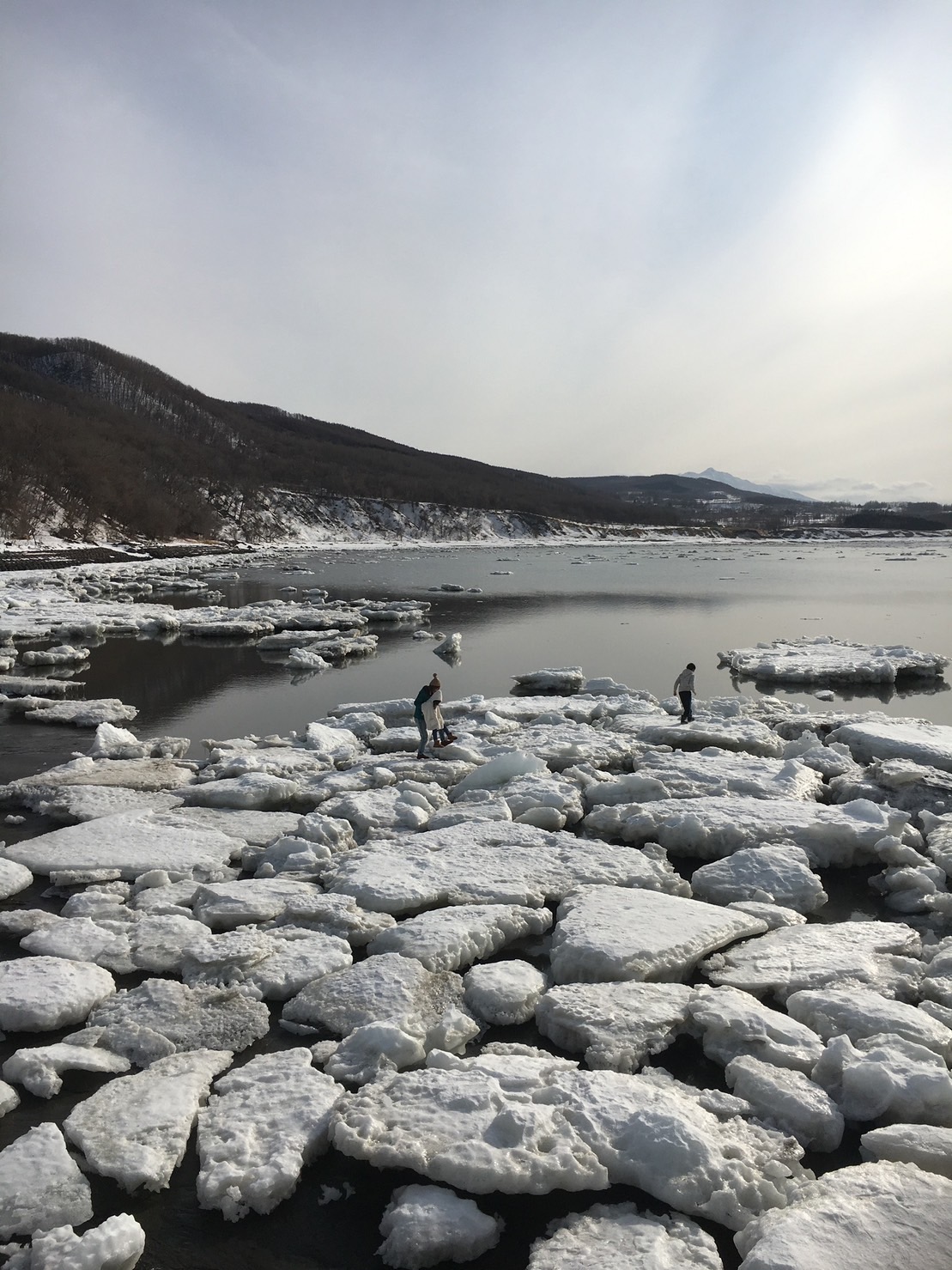 2月 ウトロ海岸 流氷