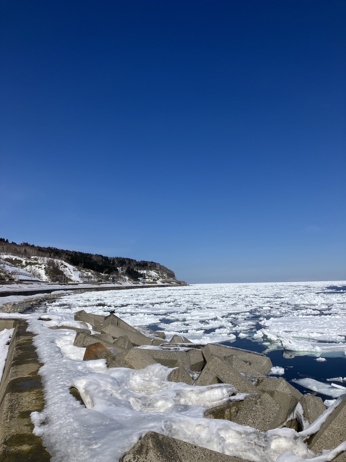 オホーツク海 流氷