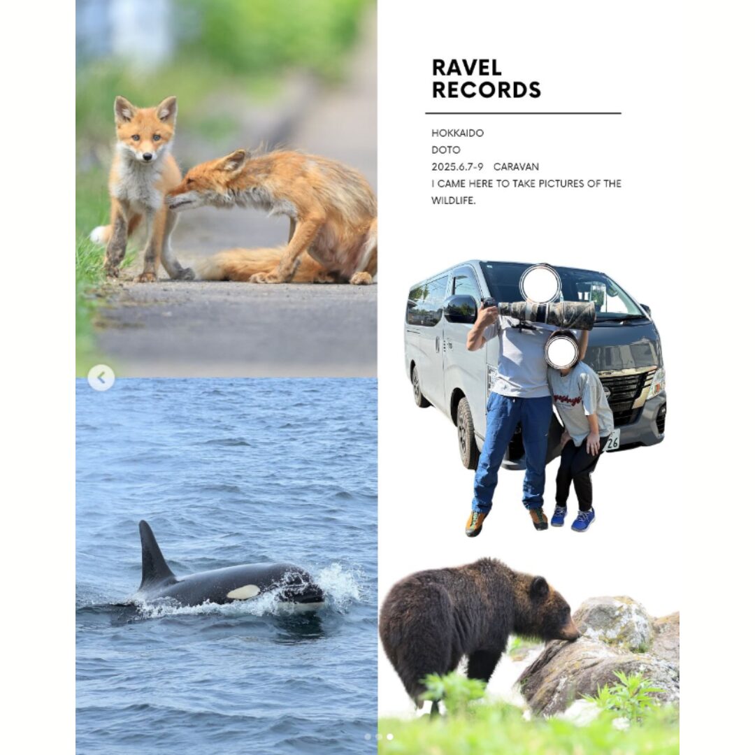 https://casval.site