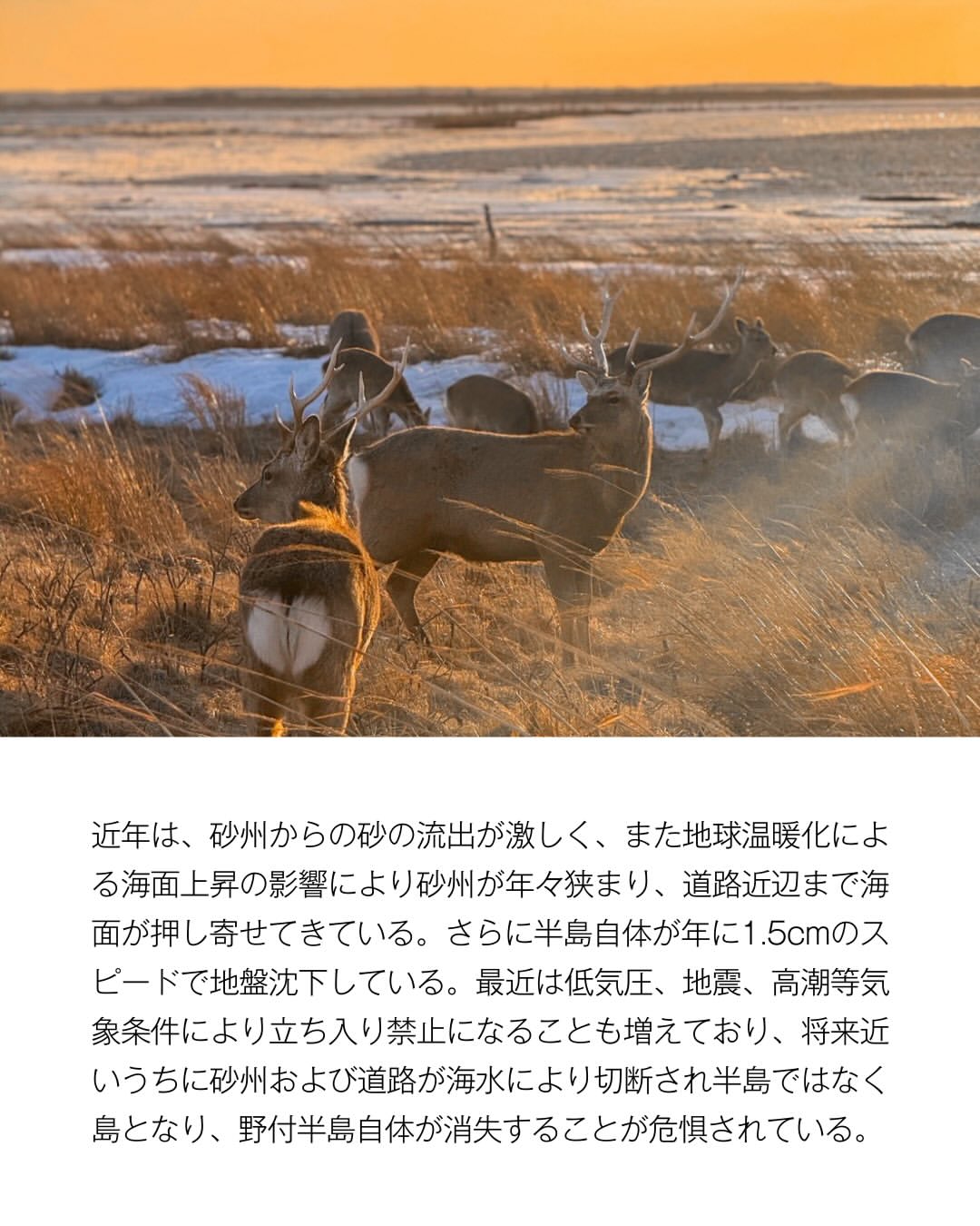 https://casval.site